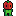 Tomato Person