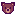 Bear Face