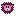 Hedgehog Face