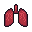 Lungs