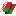 Belarus Flag