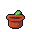 Plant Pot